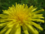 Fotoblog koneffka