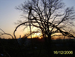 Fotoblog alkaa