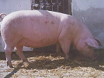 Fotoblog marliczkus