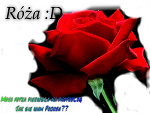 Fotoblog stary999