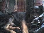 Fotoblog brokenkowareta