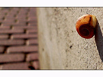 Fotoblog yaveldith