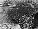 Fotoblog idiot007