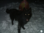 Fotoblog johny16