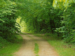 Fotoblog karolek900