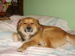 Fotoblog milka18