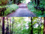 Fotoblog wastingthedawn