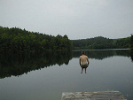 Fotoblog ziposki