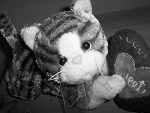 Fotoblog elizka92