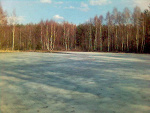 Fotoblog pszczonki