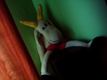 Fotoblog monikakarol