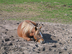 Fotoblog kasiunia2421