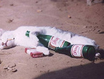 Fotoblog kamilek88