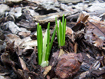 Fotoblog wecreatingwouldrejoice