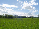 Fotoblog didus