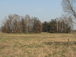 Fotoblog korona