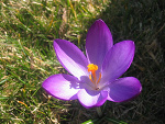 Fotoblog naalkaa06