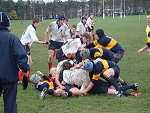 Fotoblog grizzly1995