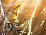 Fotoblog ajgorcino