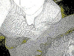 Fotoblog binkkadomi