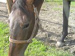 Fotoblog anusia2210