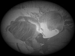Fotoblog arlette