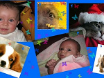Fotoblog tina11