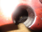 Fotoblog myyywooorld