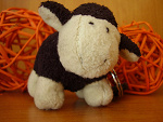 Fotoblog daruch25