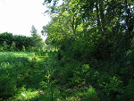 Fotoblog adam23081996