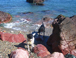 Fotoblog porannarosa