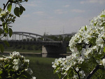 Fotoblog polannach