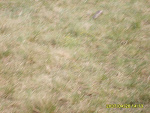 Fotoblog repter
