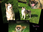 Fotoblog slodkatygrysica