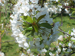 Fotoblog agniesia0690