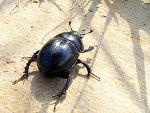 Fotoblog nut94