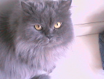 Fotoblog adam1738