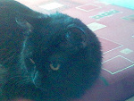 Fotoblog anecianecia
