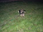 Fotoblog przyjaciel1