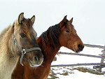 Fotoblog wybryk