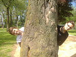 Fotoblog fulinek