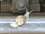 Fotoblog 5zywiolow