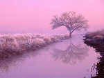Fotoblog proszezostan