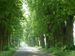 Fotoblog szpiegowice