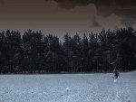 Fotoblog op13