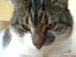 Fotoblog alcia15