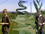 Fotoblog mariusz992