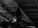 Fotoblog matu89