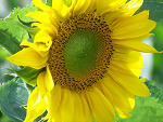 Fotoblog kasienia