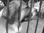 Fotoblog mireczek15
